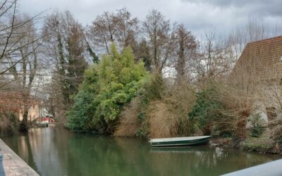 Dans un cadre verdoyant   ERSTEIN